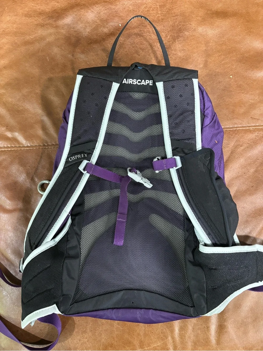 OSPREY Tempest Jr Purple Daypack with Light Gray Accents